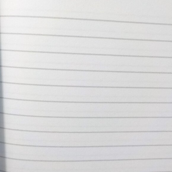 Blank Lined 6x9 Notebook BEE & HONEYCOMB 120 Pages Daily Journal Note Taking - Picture 5 of 5